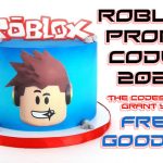 Roblox Promo Codes Latest September 2022