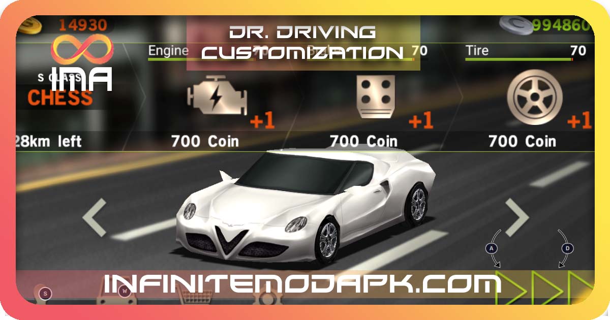 dr driving customization